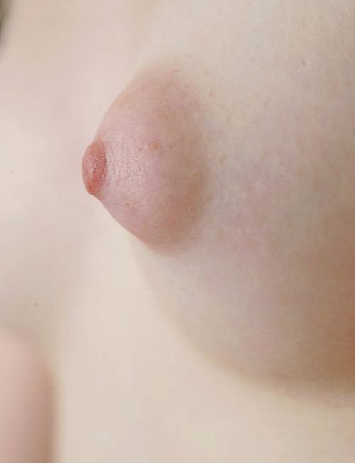 乳首の接写