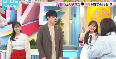 田村真子アナ、おっぱいでけえええええええええええええ