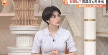 ホラン千秋、巨乳おっぱいがエロい！胸だけでなく脚もエッチだｗｗｗ（エロGIF動画あり）