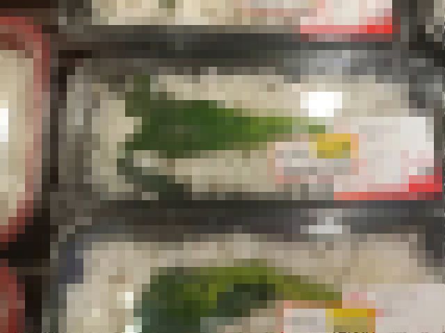 【画像】中国の底辺弁当、レベチすぎるwwwwwwwwwwwwwwwwwwwwwwwwwwwwwwwww