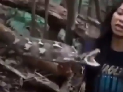 【動画】 爆乳白人女性、キングコブラにおま○こを噛まれ絶頂してしまう