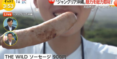 【GIF動画】フジの若手女子アナさん、2本連続で咥えてしまうｗｗｗｗｗ