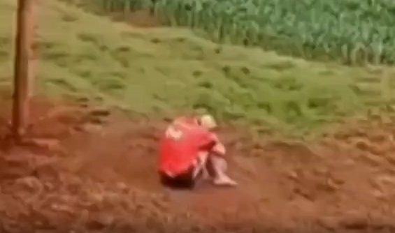 【動画】牛「落ち込んでる人がいる…慰めてあげよう」