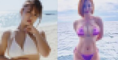 日本のあたシコおばさん（37）VS 韓国のあたシコおばさん（37）