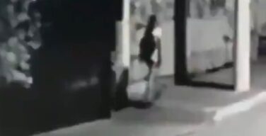 【動画】メキシコのまんさん、夜道をひとりで歩いてしまう…