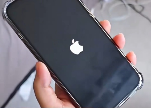 '.中国のTEMUで販売されている商品を購入したアメリカ人による動画レビュー集'