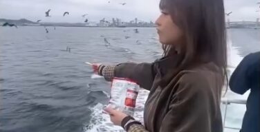 【悲報】GWに彼氏との旅行中のまんさん、初日にやらかすwww